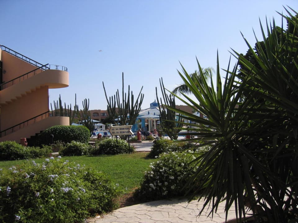 Aussicht Ali Baba Palace Hotel