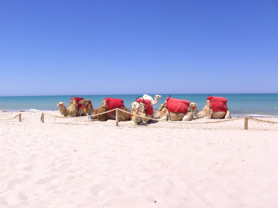 Am Strand Djerba Aqua Resort
