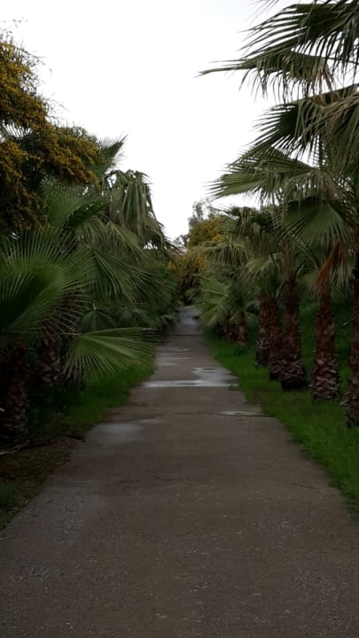 Gartenanlage Club Grand Side