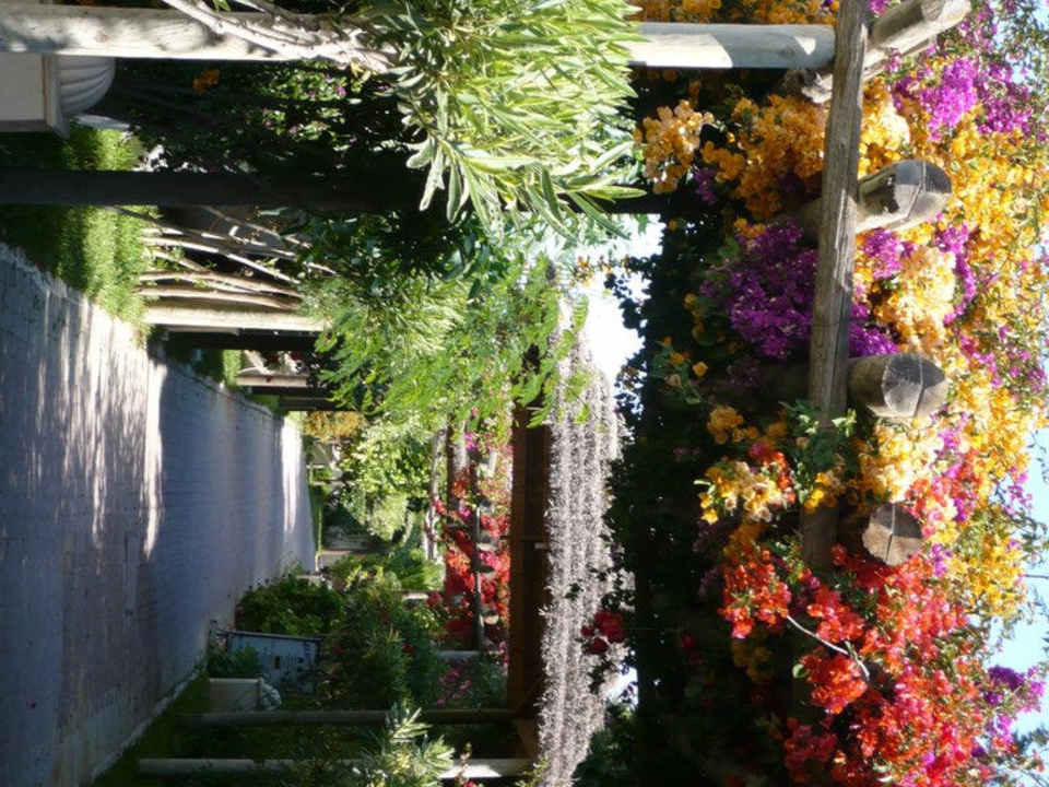 Weg zum Strand Hotel Nesrine