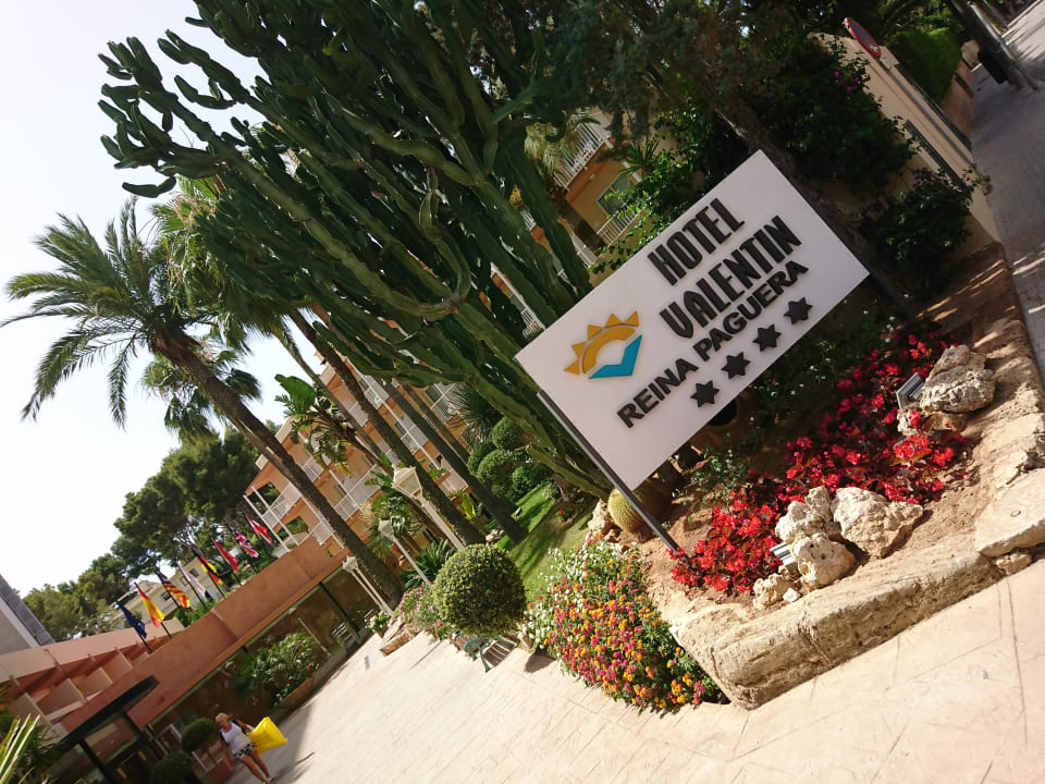 Sonstiges Valentin Reina Paguera