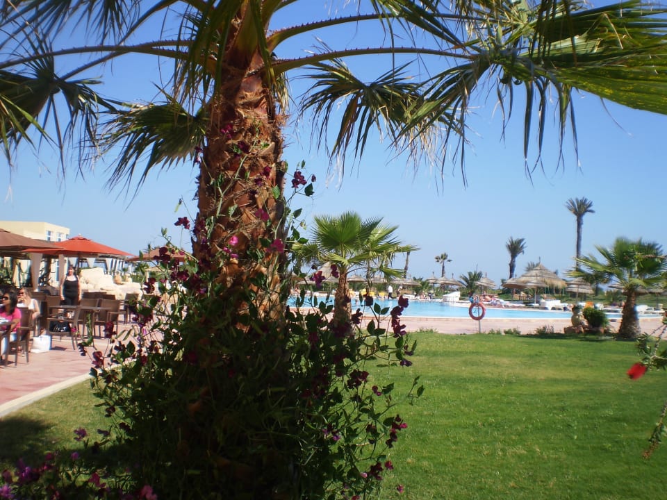 Сад Skanes Serail Aquapark