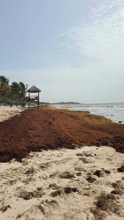 Strand TRS Yucatan Hotel - Adults only