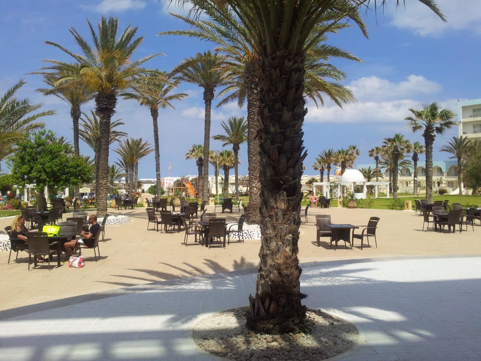 Super  El Mehdi Beach Resort