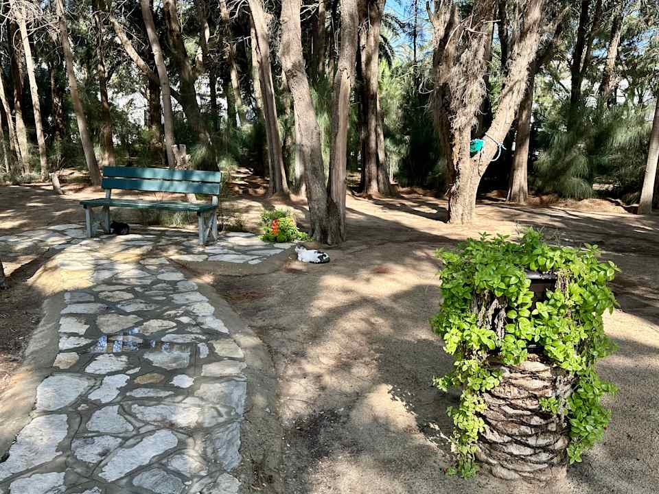 Gartenanlage Marhaba Royal Salem