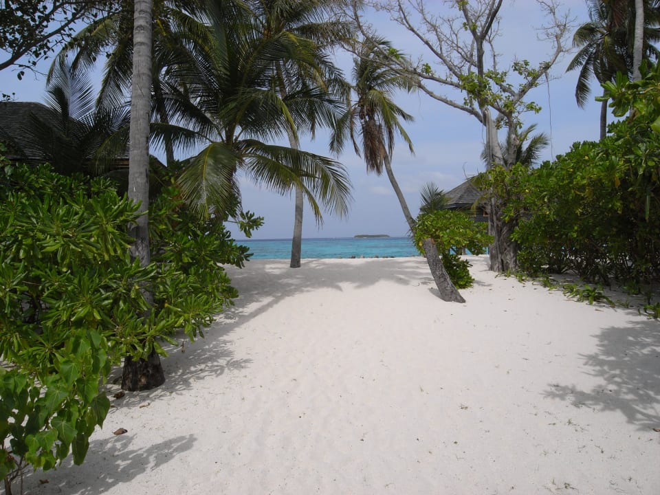 Ausblick  Kuredu Island Resort & Spa