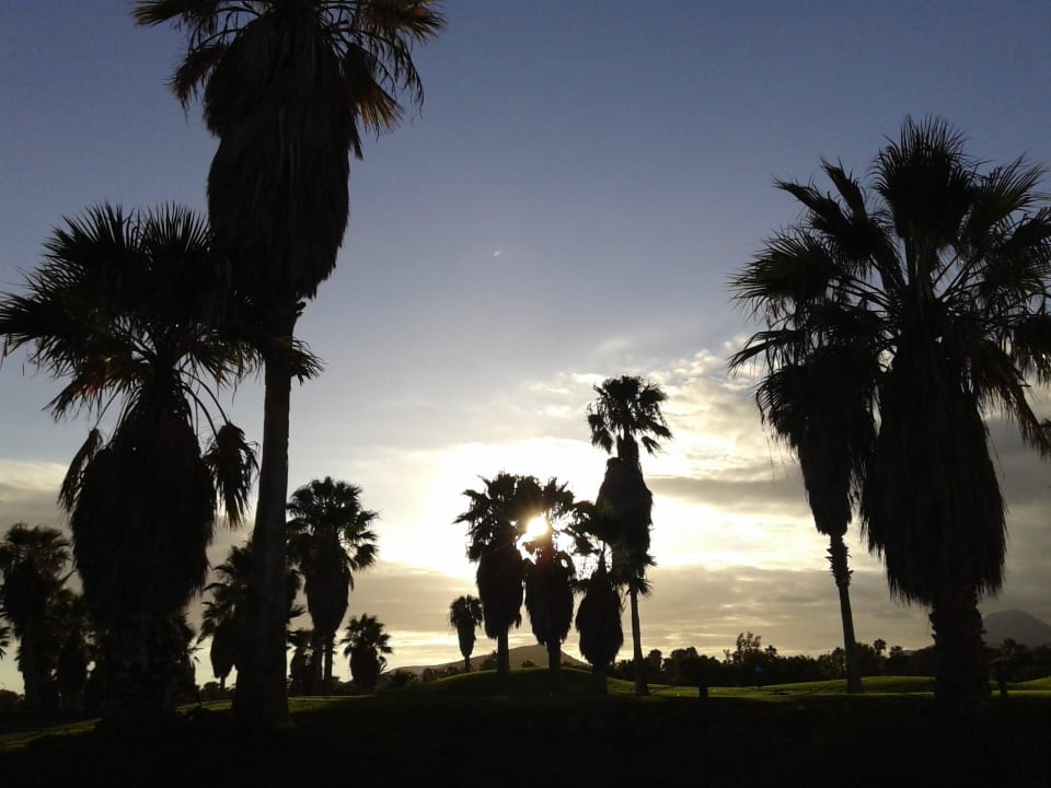 Vistas desde la terraza Royal Tenerife Country Club