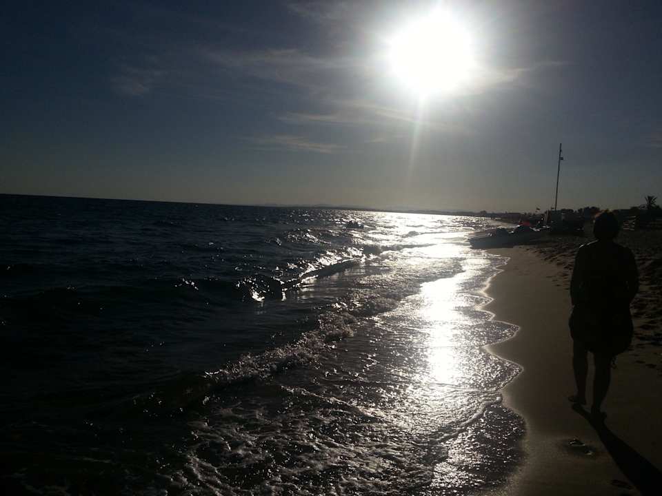 Strand Movie Gate Miramar