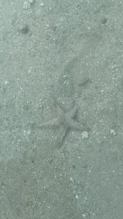 Sonstiges Hampton by Hilton Marjan Island