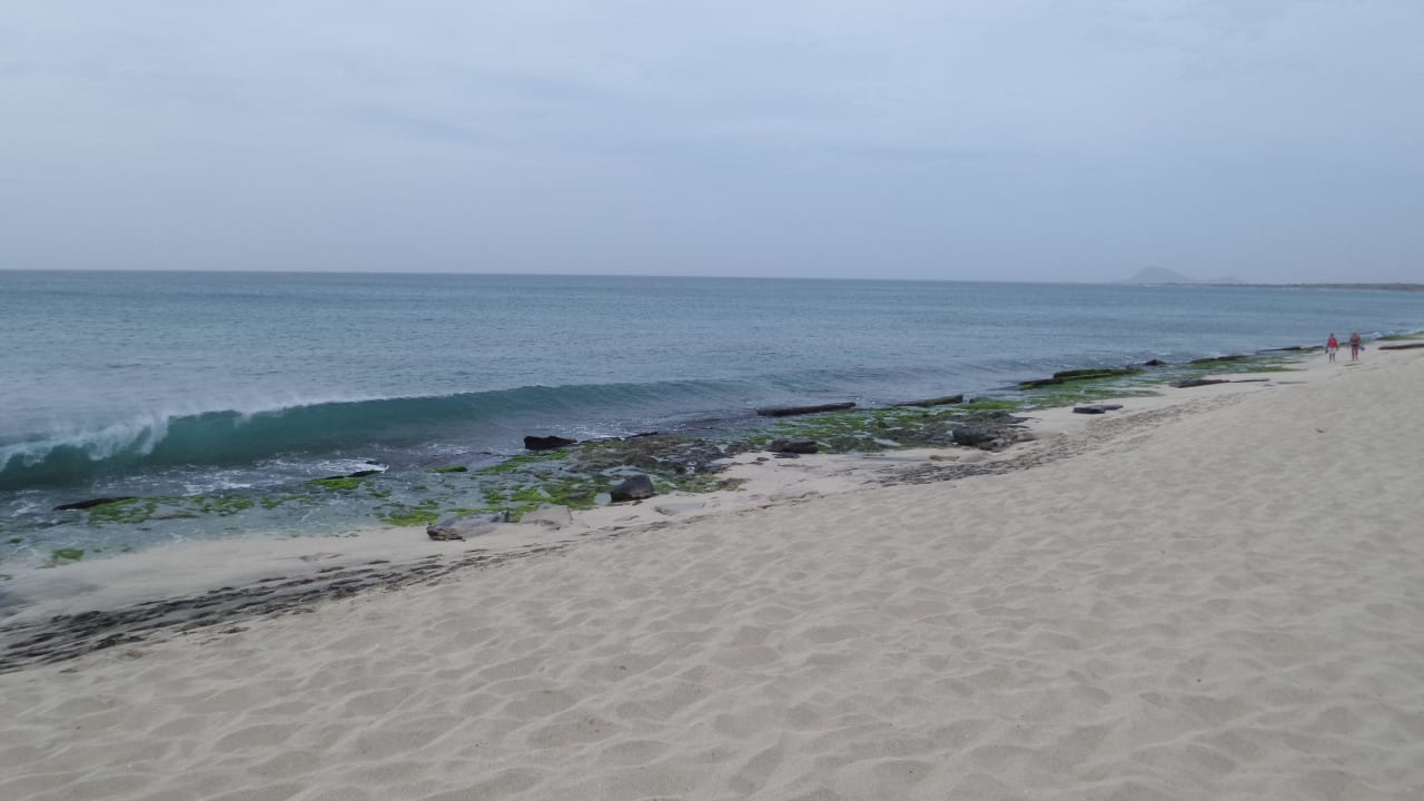 Das ist nichts für den Otto-Normal-Strand-Urlauber Meliá Dunas Beach Resort & Spa