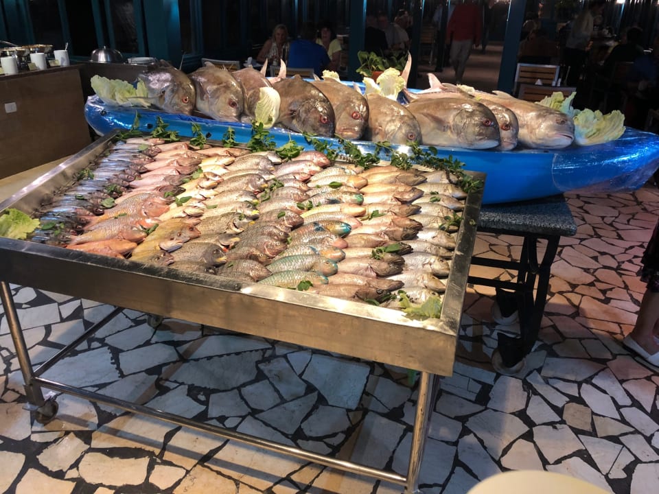 Gastro Club Paradisio El Gouna, Red Sea