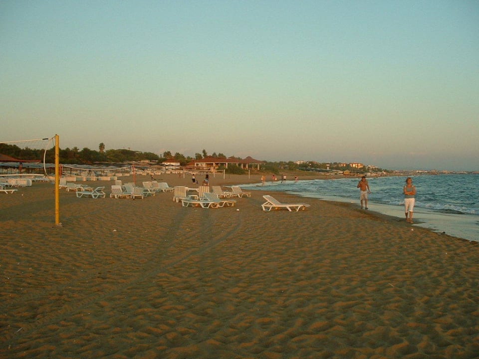 Hotelstrand von Orfeus Park Hotel Hotel Orfeus Park