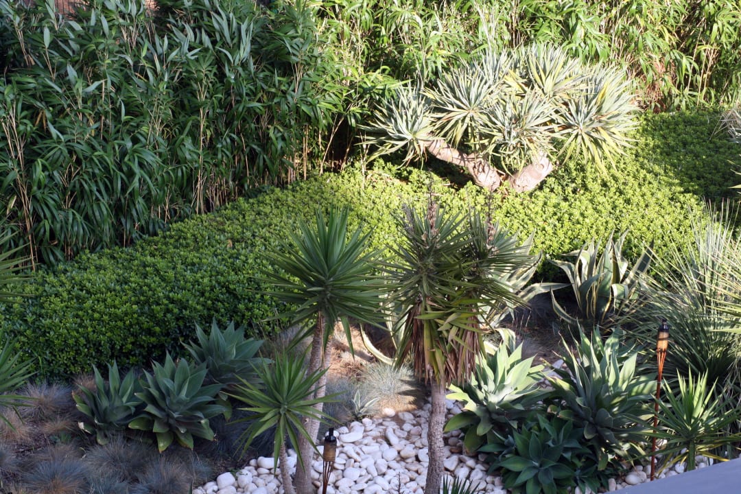 Ausblick vom Zimmer in den Garten Ozadi Altura Beach Resort