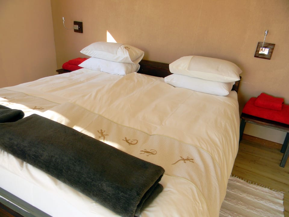Zimmer Dune Star Camp - Gondwana Collection