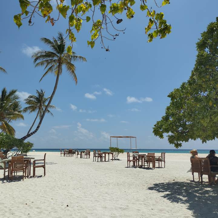 Gastro Fihalhohi Maldives