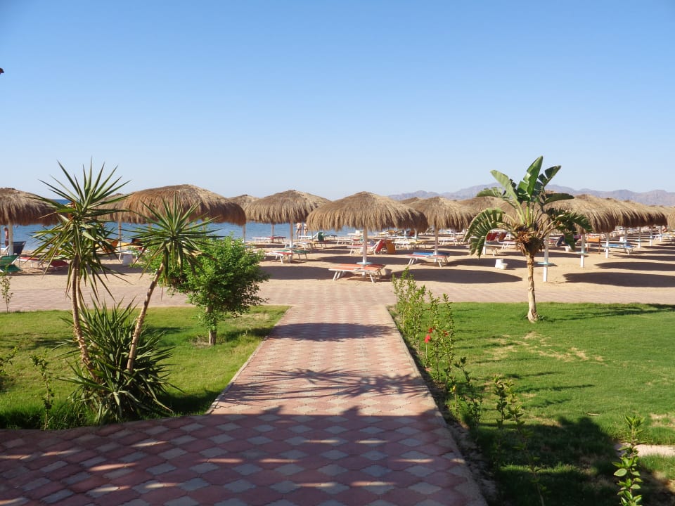 Strand Sentido Caribbean World Soma Bay