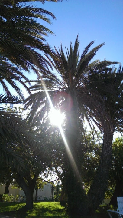 Das schöne und viele Grün Bungalows Cordial Sandy Golf