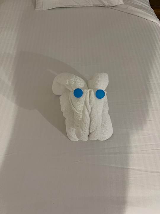 Zimmer Lazuli Hotel Marsa Alam