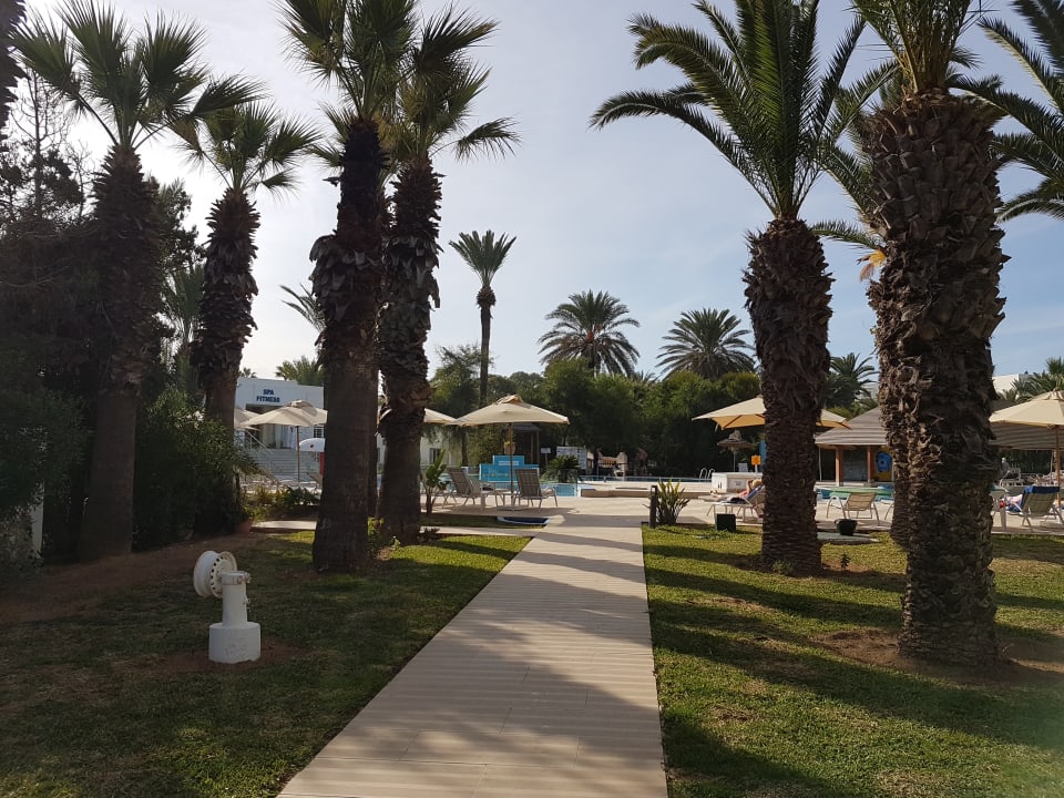 Gartenanlage Hotel Marhaba Beach