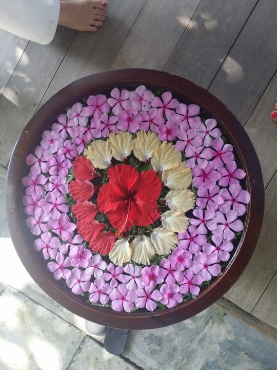 Sonstiges NH Collection Maldives Reethi Resort