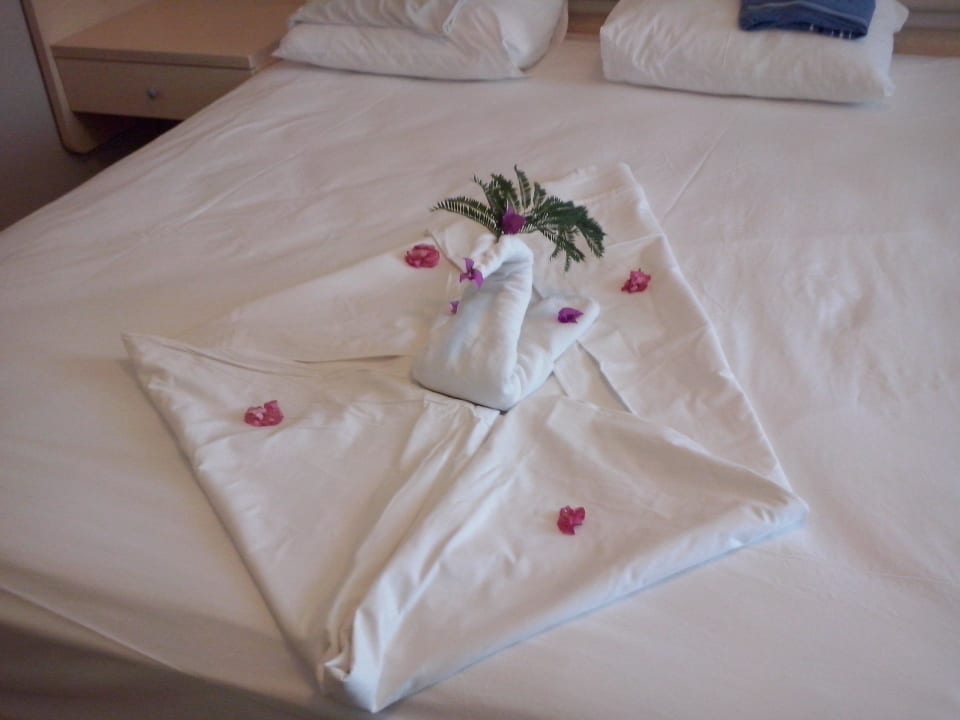 Immer Top gereinigt VONRESORT Golden Coast