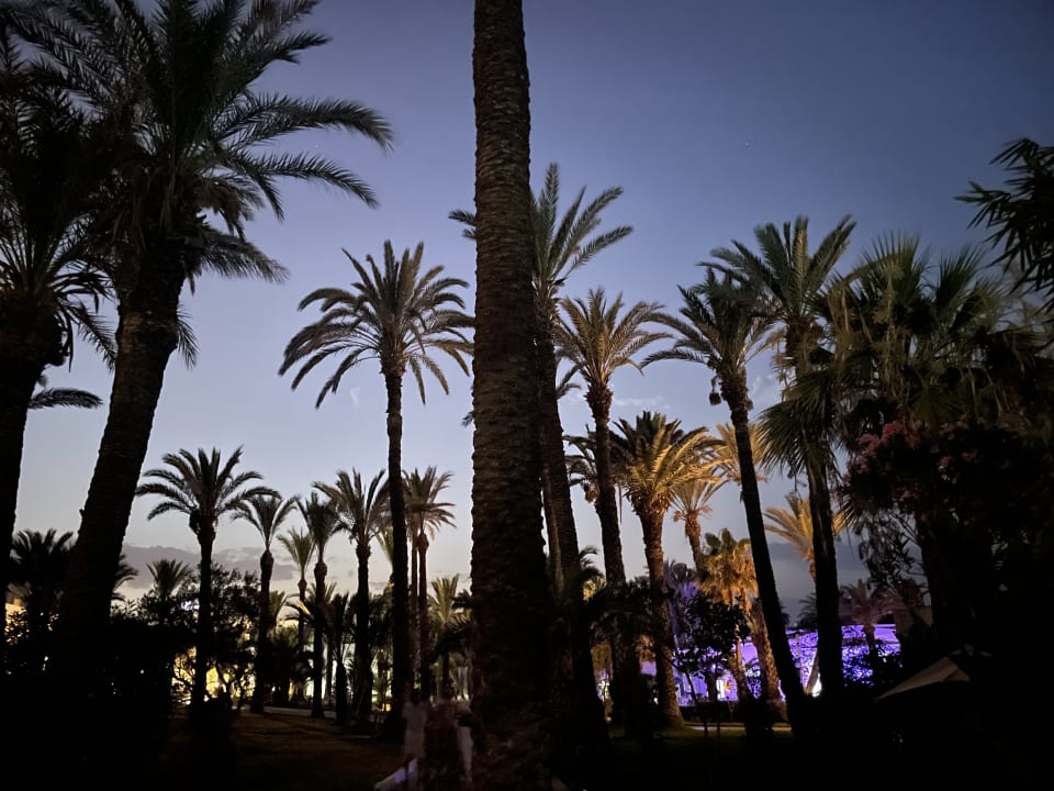 Gartenanlage Hotel Marhaba Club