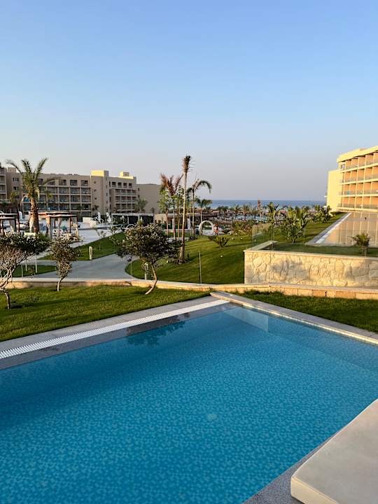 Zimmer JAZ Elite Asteria