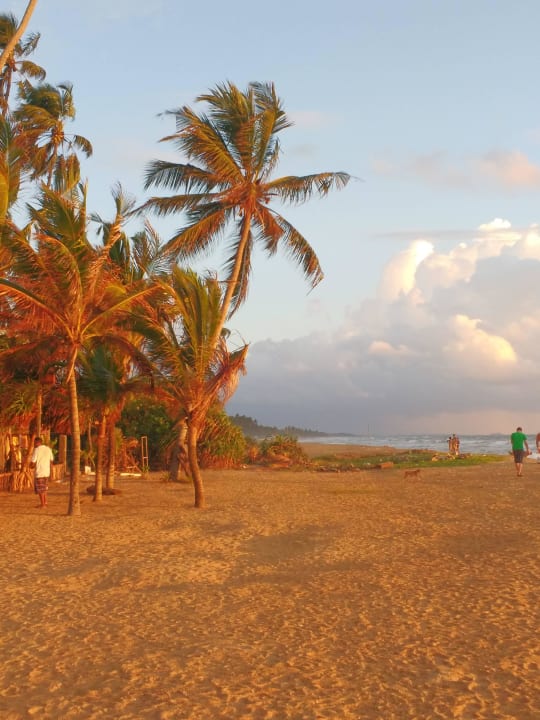 Blick zum Strand Mermaid Hotel & Club