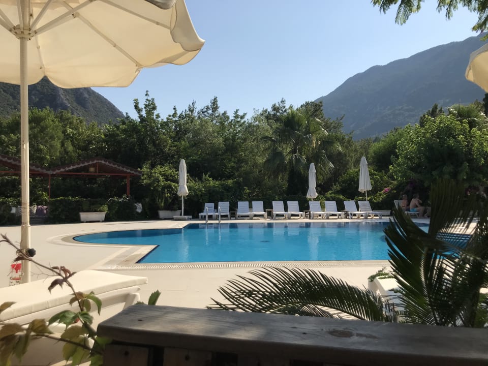 Pool LYKIA lodge | home of happiness