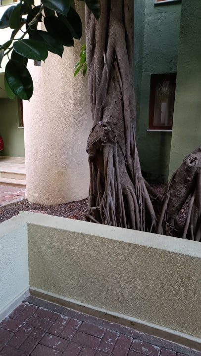 Gartenanlage VONRESORT Golden Beach