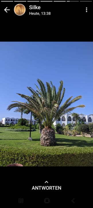 Außenansicht Hotel Gorgonia Beach Resort