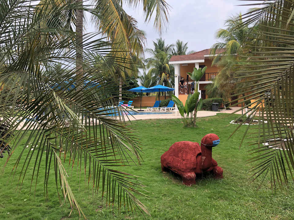 Gartenanlage Hotel Cayman Suites