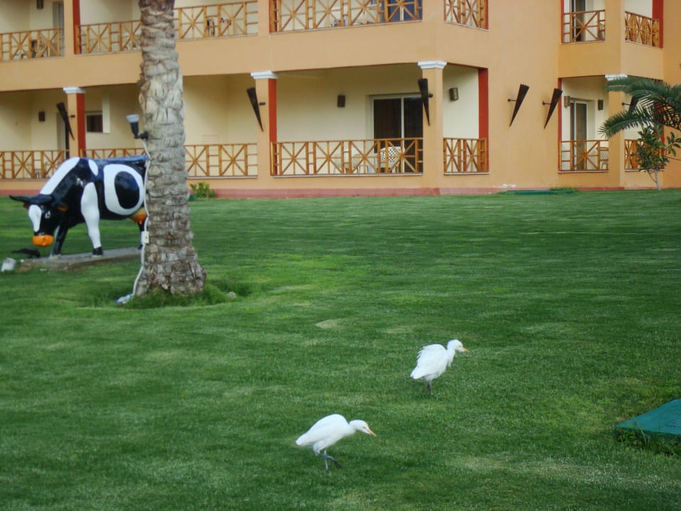 Наш номер Aqua Park Resort