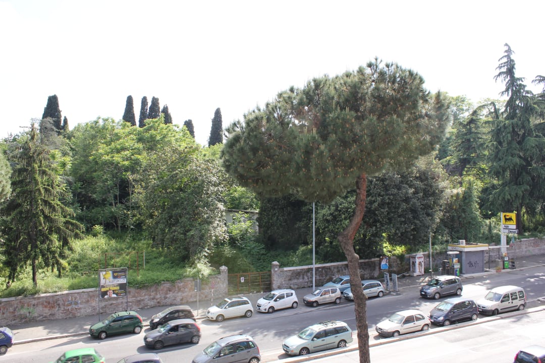 Ausblick zur Straße Magnolia St.Peter's Suites