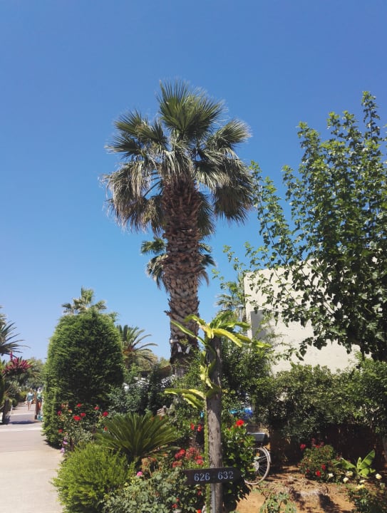 Gartenanlage Phãea Cretan Malia