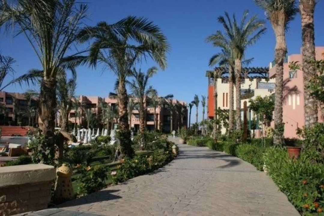 Trochę zieleni Rehana Sharm Resort Aqua Park & Spa