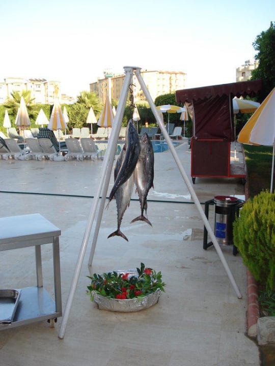Kochen am Pool Hotel Royal Garden Beach