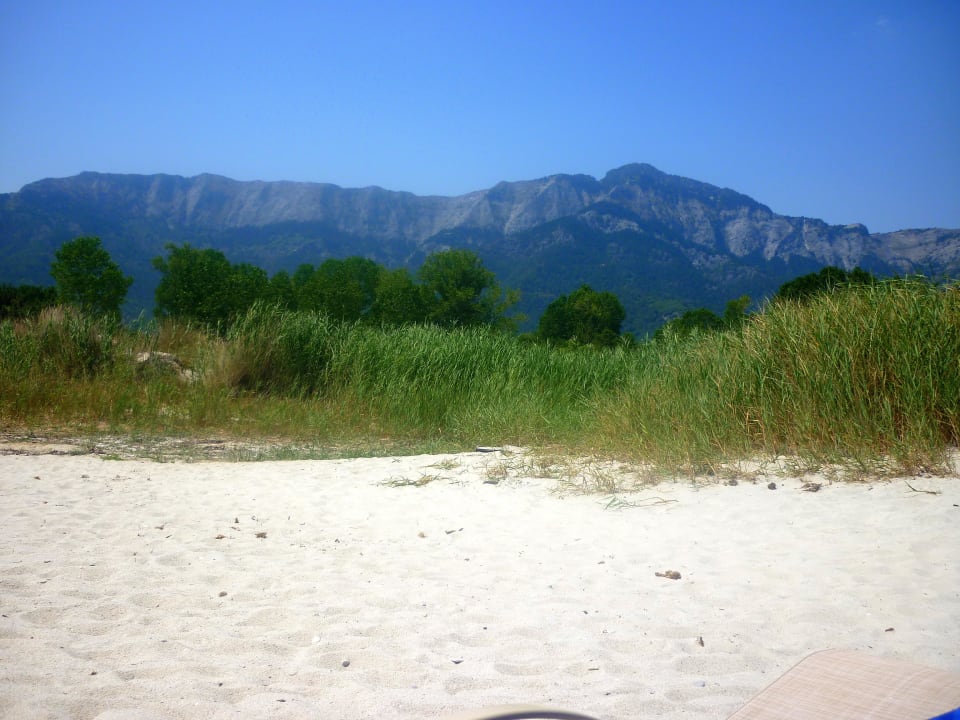 Strand Alexandra Golden Boutique - Adults only