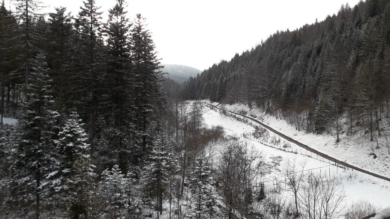 Ausblick Wellnesshotel Forsthaus Auerhahn