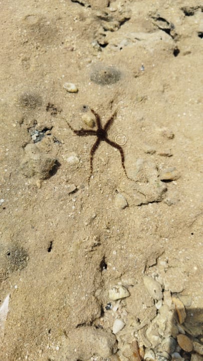 Strand Stella Beach Resort & Spa Makadi Bay