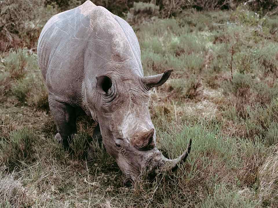 Sonstiges Hotel Pumba Private Game Reserve