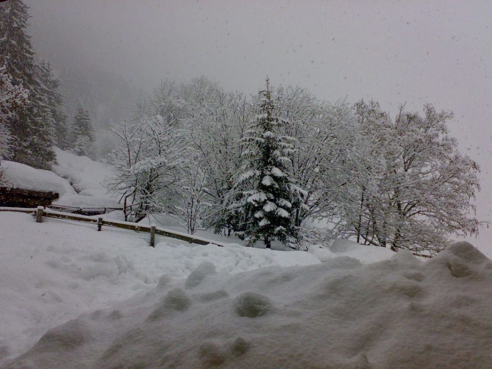 Ratschings im Schnee Hotel Larchhof