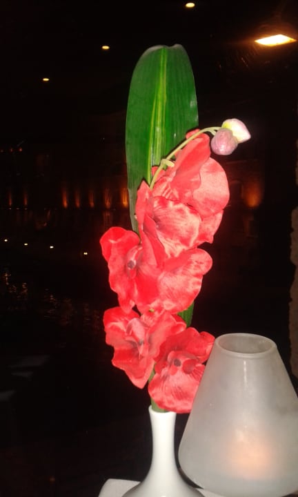 Im ORCHID Pickalbatros Citadel Resort