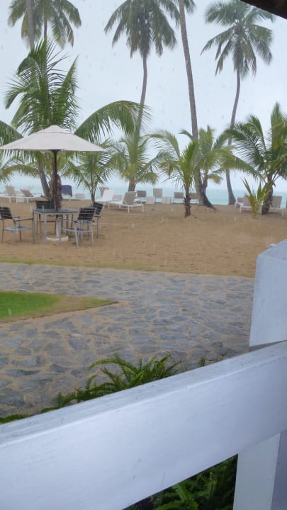 Strand Viva V Samana by Wyndham – Adults Only