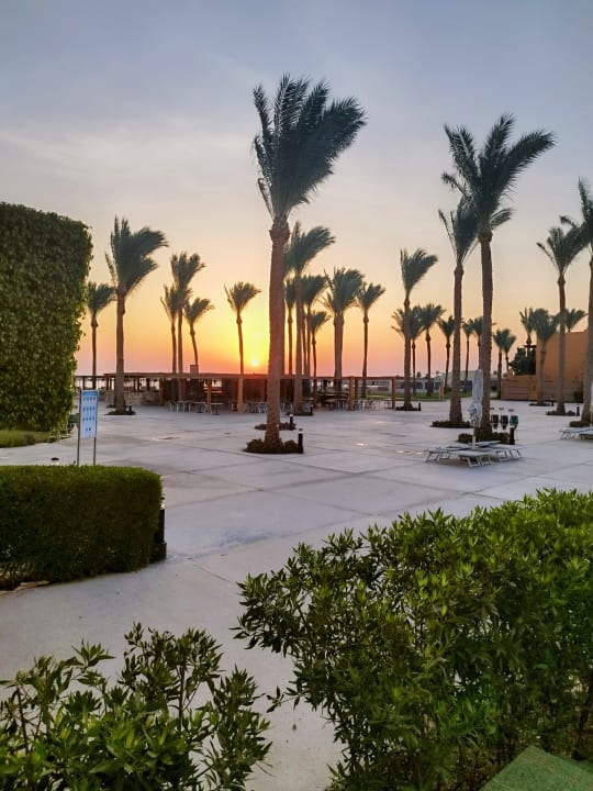 Gartenanlage Stella Beach Resort & Spa Makadi Bay