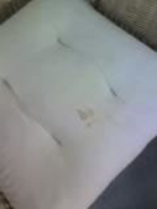 Sitzkissen der Korbstühle  - Innenbereich- Frau Holle-Land-Hotel