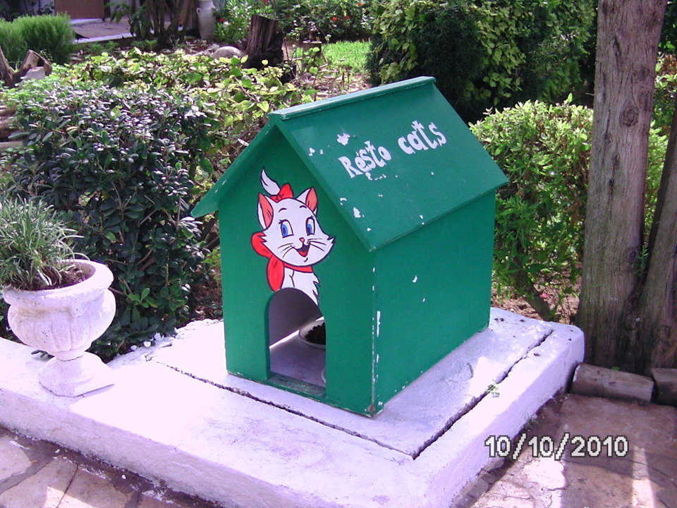 Das Katzen-Häuschen The Orangers Beach Resort and Bungalows