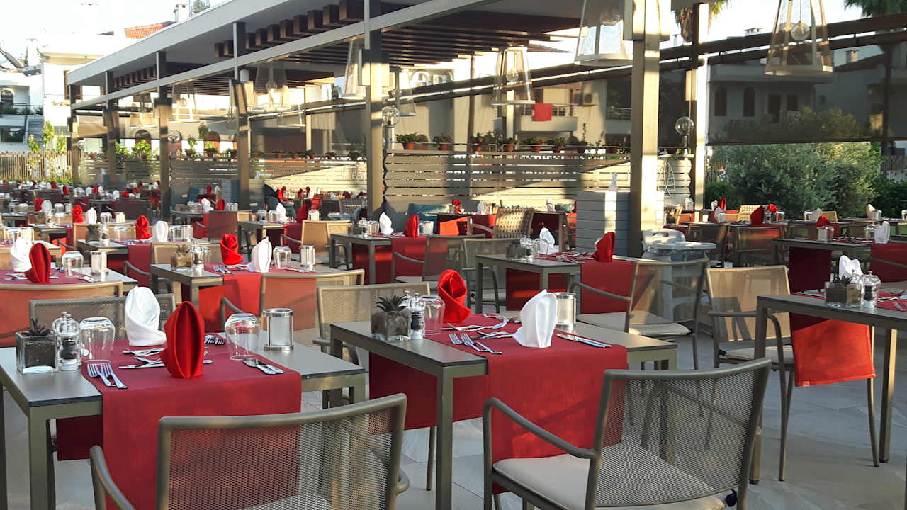 Gastro Acanthus Cennet Barut Collection