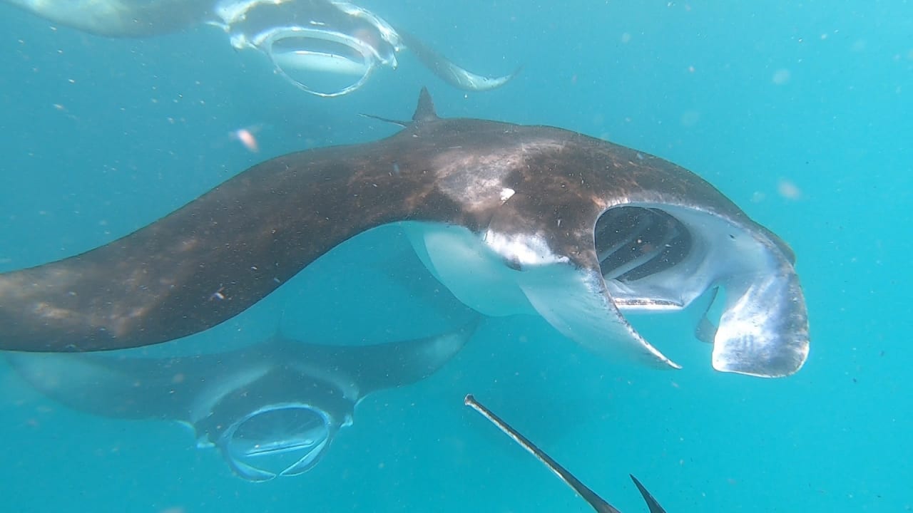 Sport & Freizeit NH Collection Maldives Reethi Resort