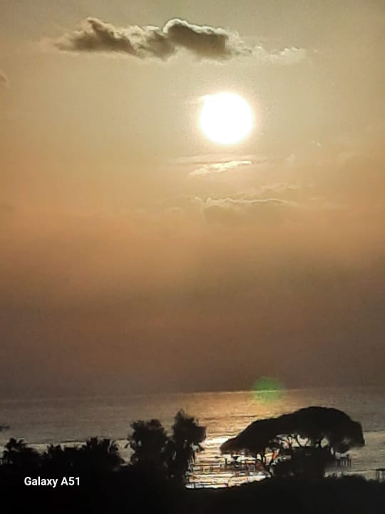 Ausblick Papillon Ayscha